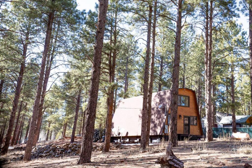 Grand Canyon Cabin! One Hour And 10 Minutes To The South Entrance! Williams Exterior foto