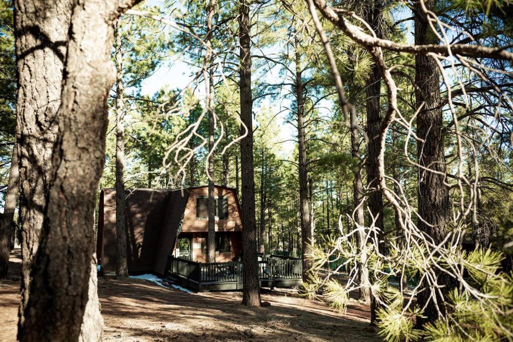 Grand Canyon Cabin! One Hour And 10 Minutes To The South Entrance! Williams Exterior foto