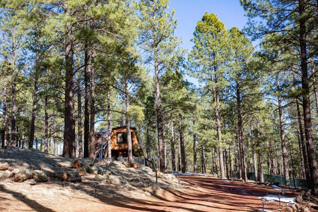 Grand Canyon Cabin! One Hour And 10 Minutes To The South Entrance! Williams Exterior foto