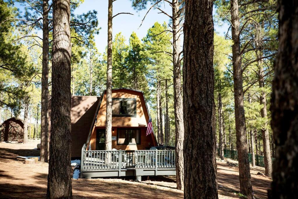 Grand Canyon Cabin! One Hour And 10 Minutes To The South Entrance! Williams Exterior foto