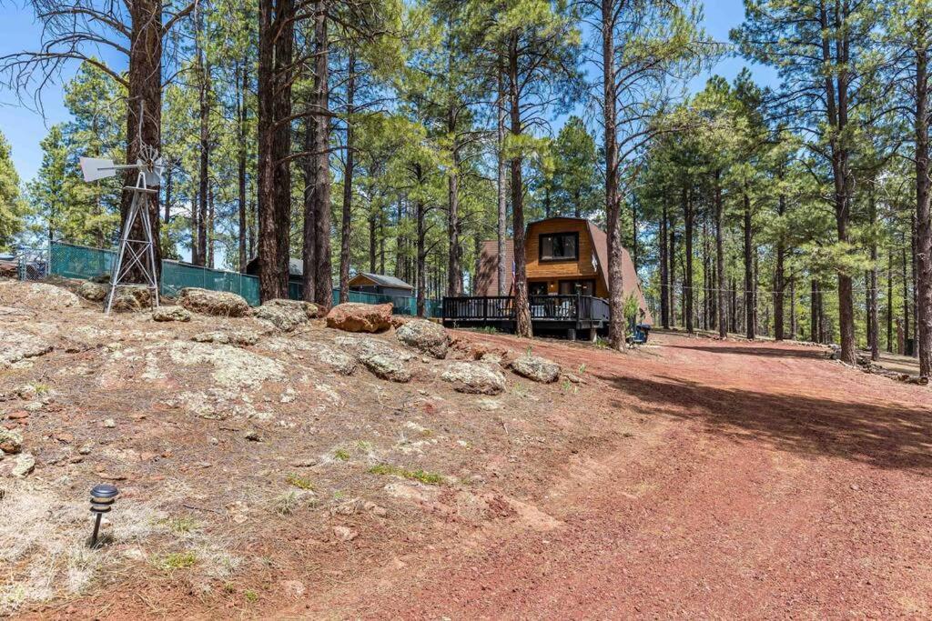 Grand Canyon Cabin! One Hour And 10 Minutes To The South Entrance! Williams Exterior foto